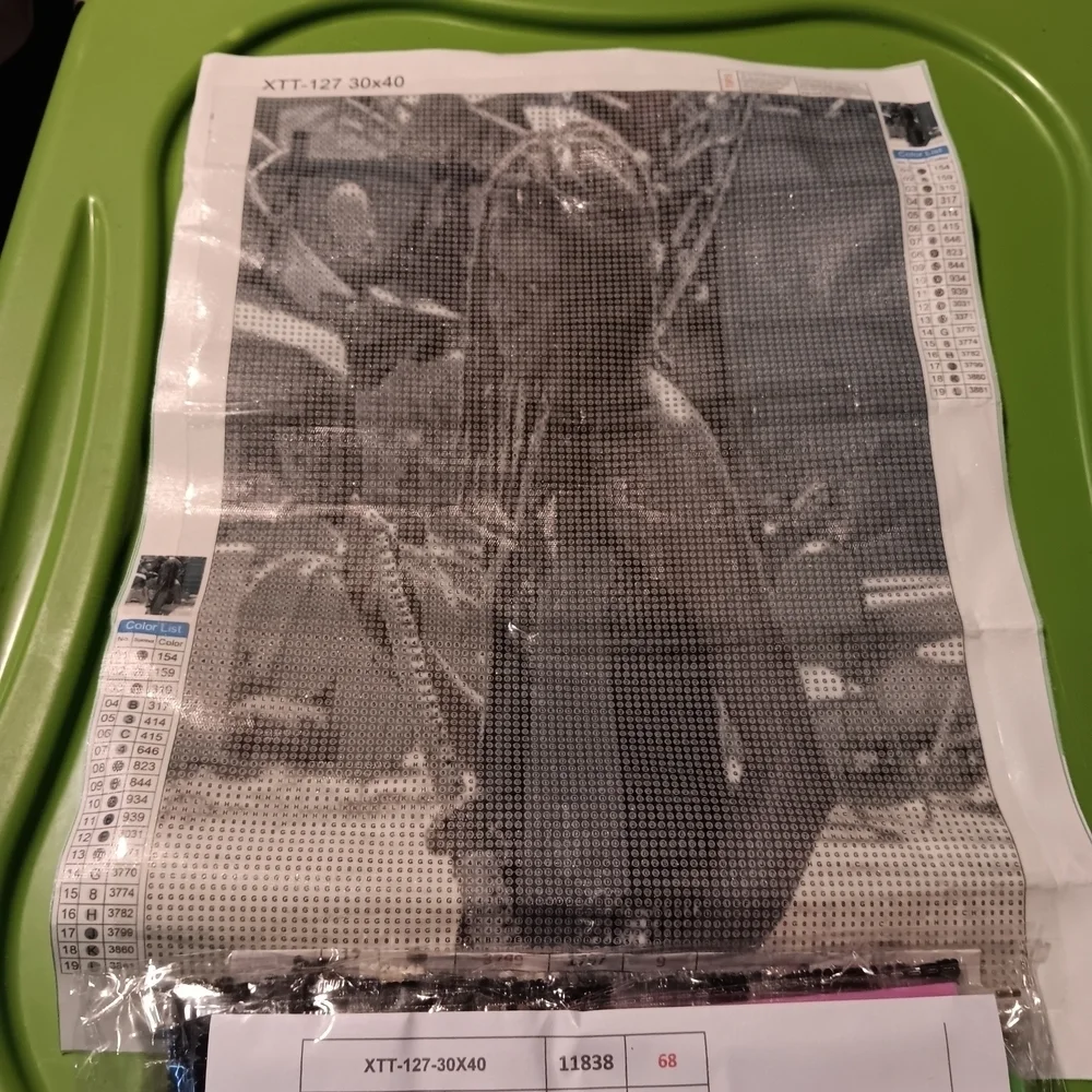 The Walking Dead  Diamond Painting Kit Michonne 30x40